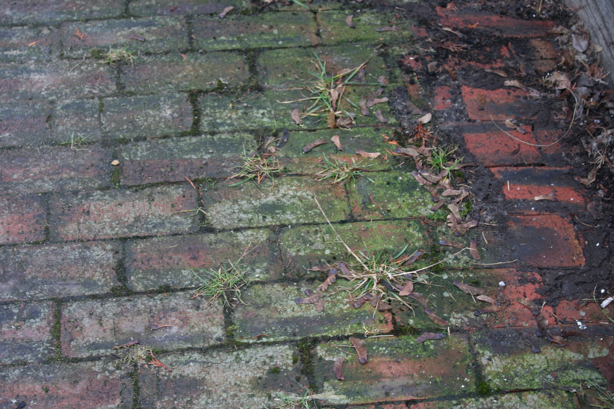 Po deszczu można się na nich ślizgać jak po lodzie.