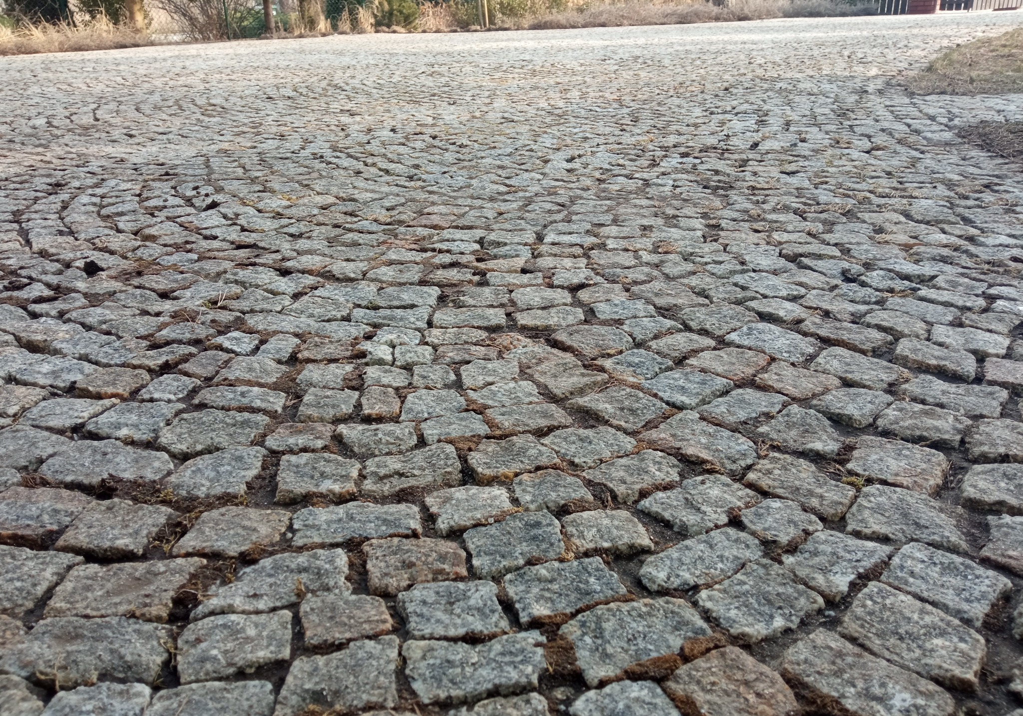 Szara kostka brukowa ułożona w koncentryczne okręgi, widoczne drobne chwasty między kamieniami, w tle roślinność.