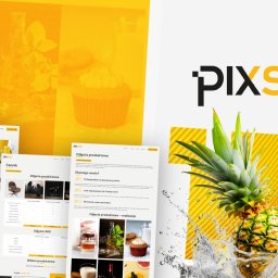 Tworzenie stron internetowych Częstochowa 2