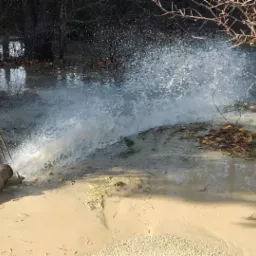Woda tryskająca z zielonego węża w błotnistym terenie, otoczona drzewami i opadłymi liśćmi, prawdopodobnie podczas wiercenia studni.
