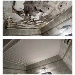 Odgrzybianie sufitu w łazience