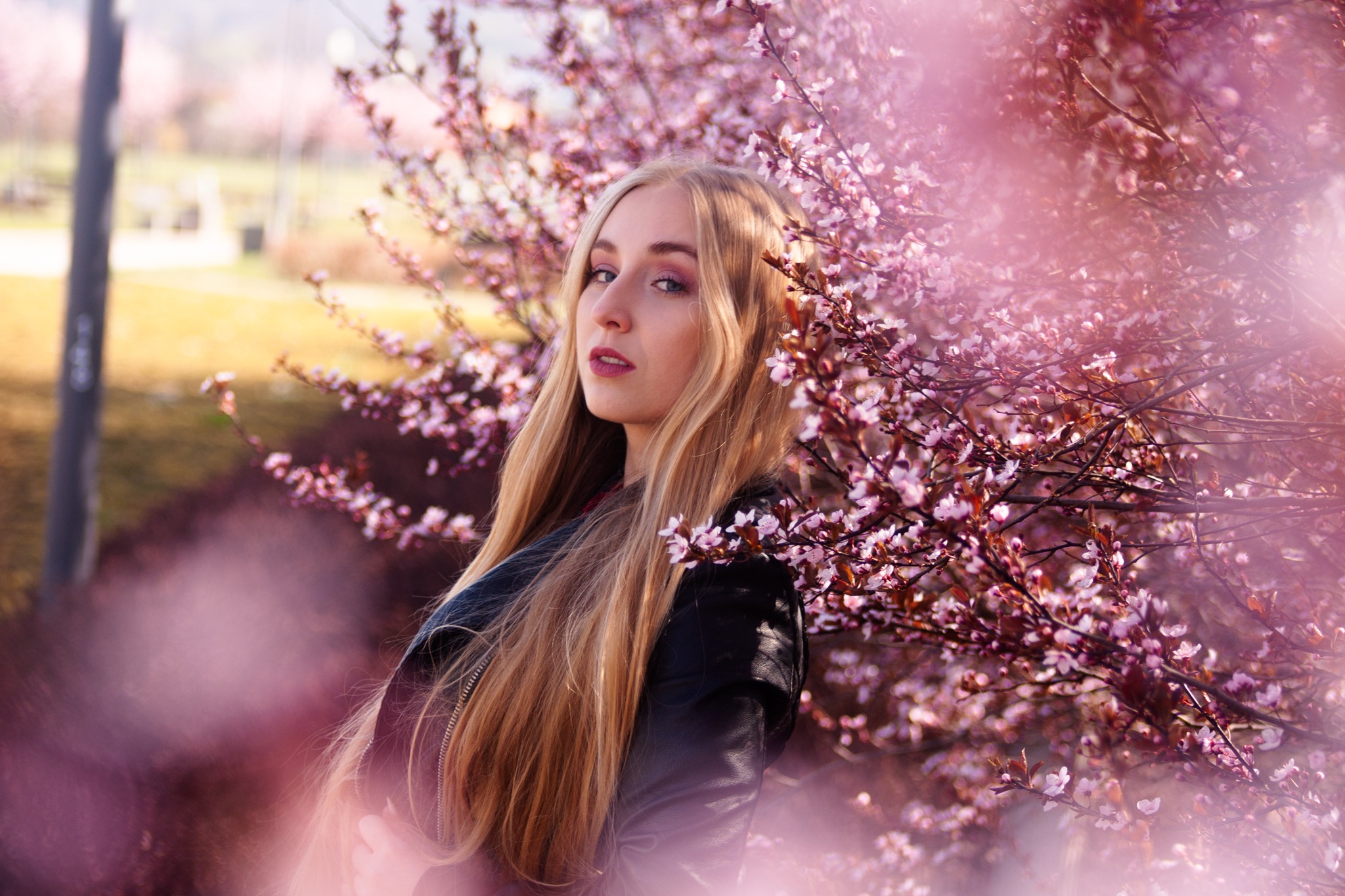 Portret blondwłosej kobiety w czarnej kurtce na tle kwitnącej śliwy wiśniowej z różowymi kwiatami, miękkie światło, delikatny makijaż, wiosenna sceneria.