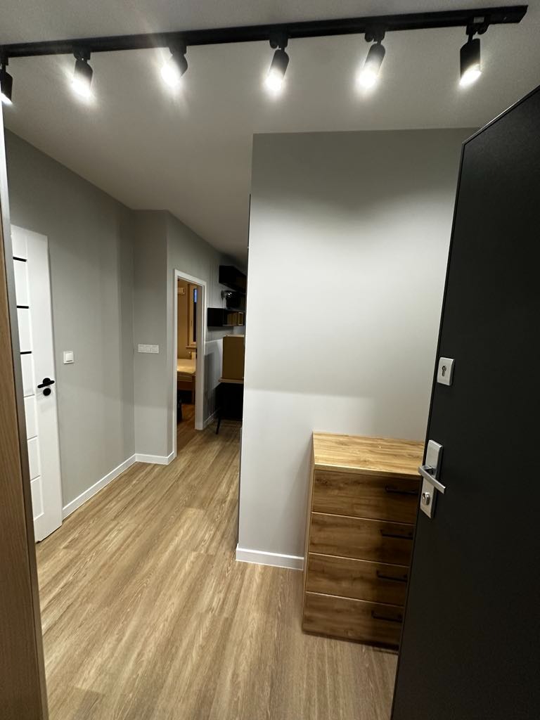 Korytarz mieszkania po remoncie z panelami podłogowymi w odcieniach drewna, oświetleniem szynowym i komodą przy ścianie.