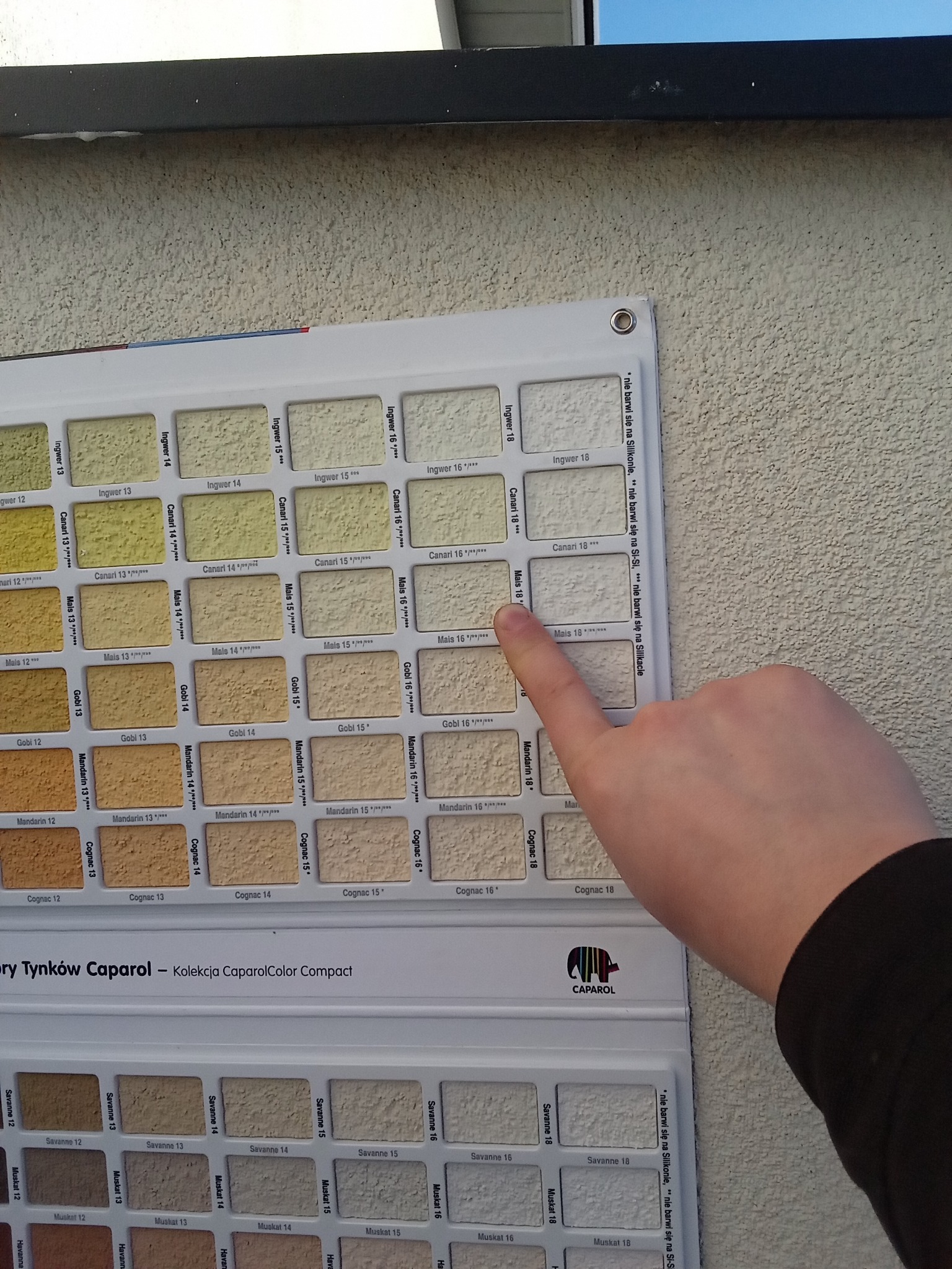 Wzornik tynków Caparol z paletą odcieni beżu i brązu, palec wskazuje na odcień 'Mais 18' na tle ściany o podobnej fakturze.
