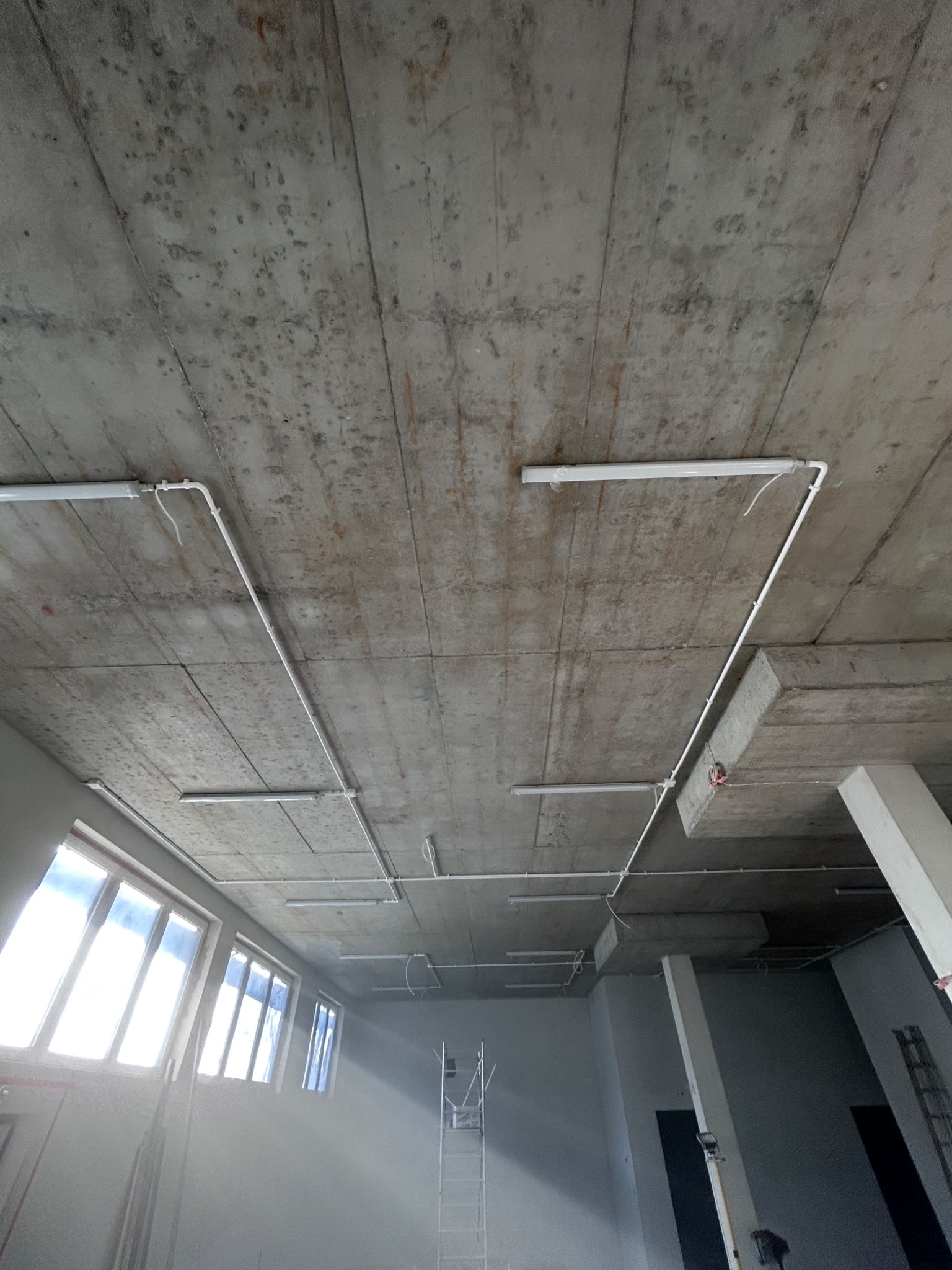 Surowy betonowy sufit z widocznymi rurami instalacji elektrycznej i zamontowanymi lampami fluorescencyjnymi w przestrzeni przemysłowej, drabina w tle.