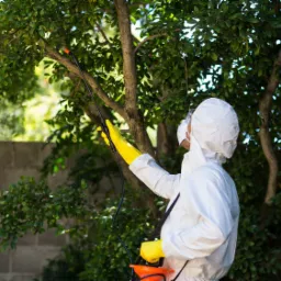 Osoba w białym kombinezonie ochronnym i ż&oacute;łtych rękawicach spryskuje drzewo za pomocą opryskiwacza ciśnieniowego.