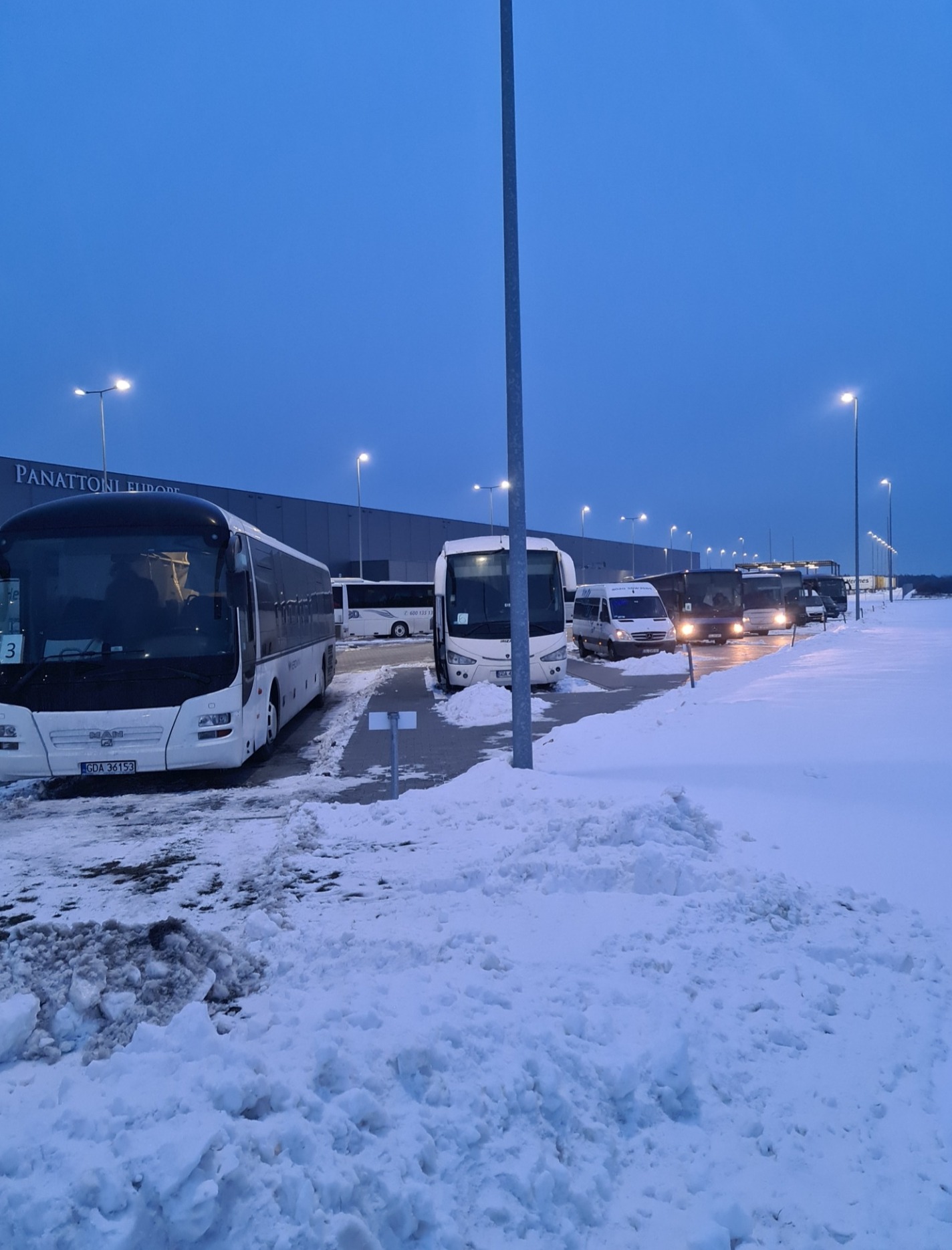 Rząd białych autobusów MAN zaparkowanych na ośnieżonym parkingu przed budynkiem Panattoni Europe o zmierzchu.