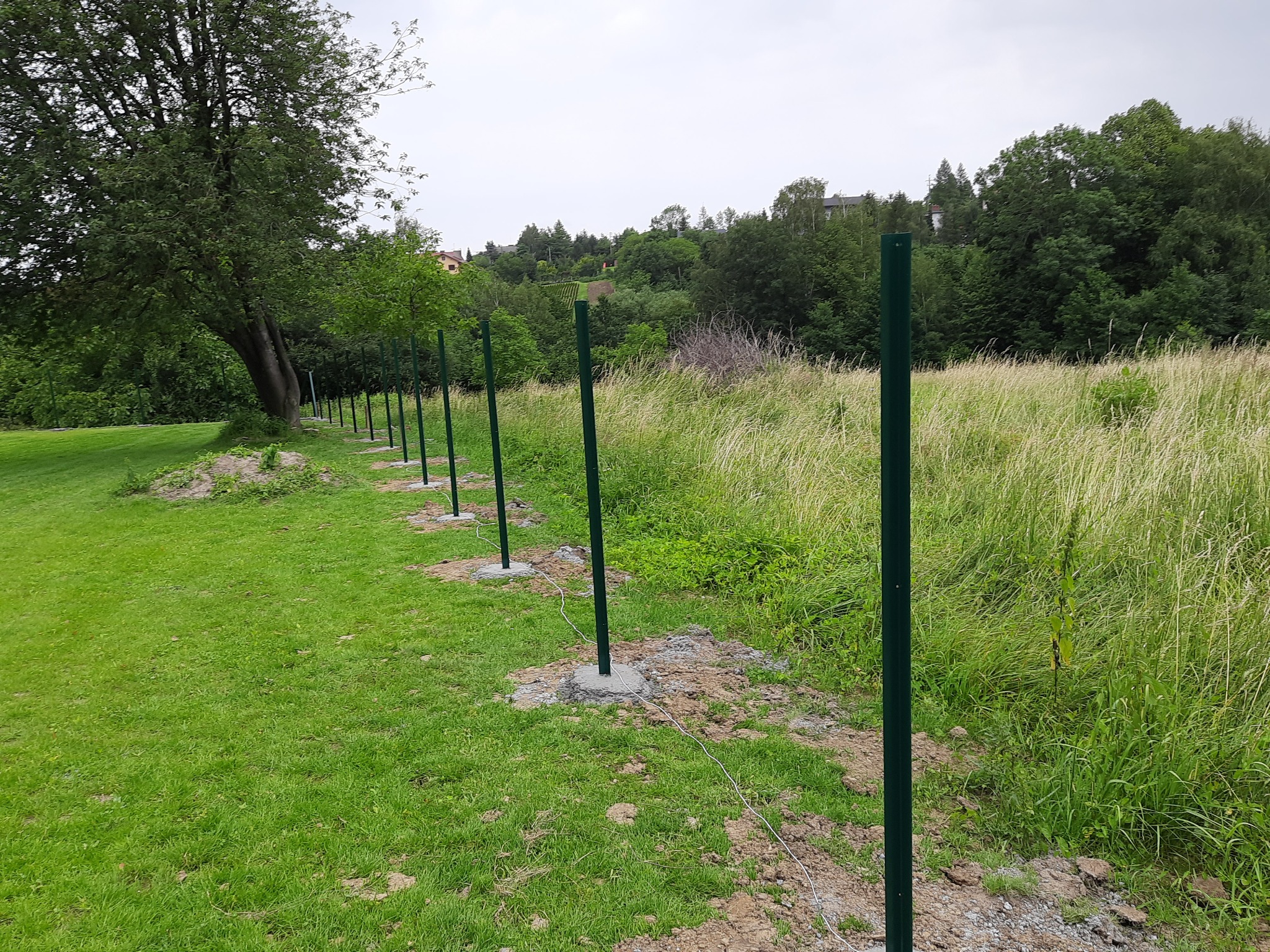 Rząd zielonych słupków ogrodzeniowych, tymczasowo połączonych cienkim drutem, osadzonych w betonowych fundamentach na tle łąki i drzew