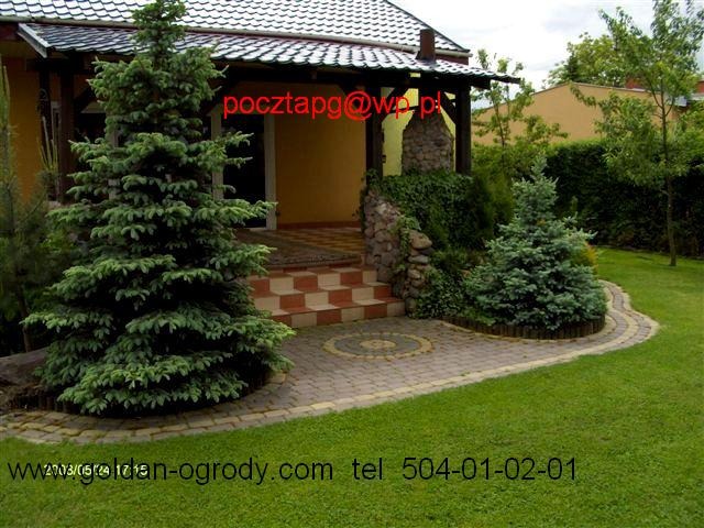 Dwa świerki karłowate rosnące w zadbanym ogrodzie przed domem z kamiennymi elementami dekoracyjnymi i schodami wyłożonymi płytkami ceramicznymi.