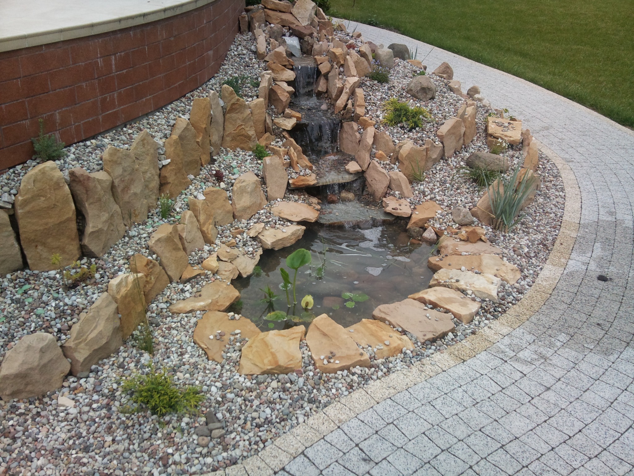 Oczko wodne z kaskadą w ogrodzie, otoczone kamieniami i żwirem, z roślinami wodnymi w stawie, widoczne z boku ścieżki z kostki brukowej.