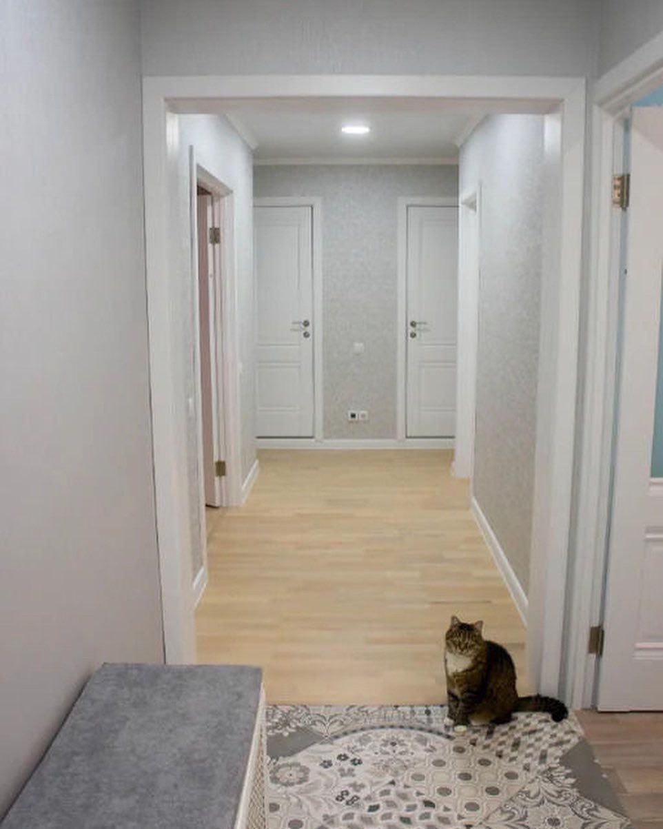 Wnętrze korytarza we Wrocławiu po remoncie, z jasną podłogą, białymi drzwiami i szarymi ścianami, urozmaicone obecnością pręgowanego kota siedzącego na wzorzystym dywaniku.