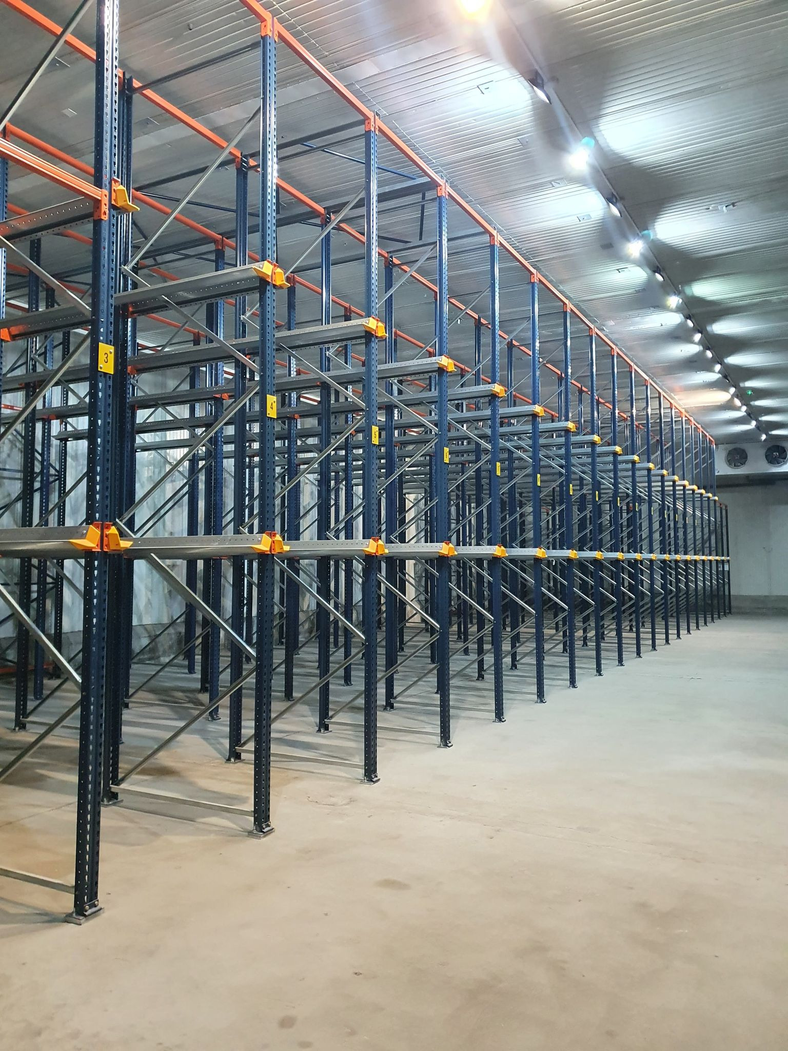 Puste, metalowe regały magazynowe w chłodnym pomieszczeniu, z numerowanymi etykietami na słupkach, oświetlone rzędami lamp sufitowych.