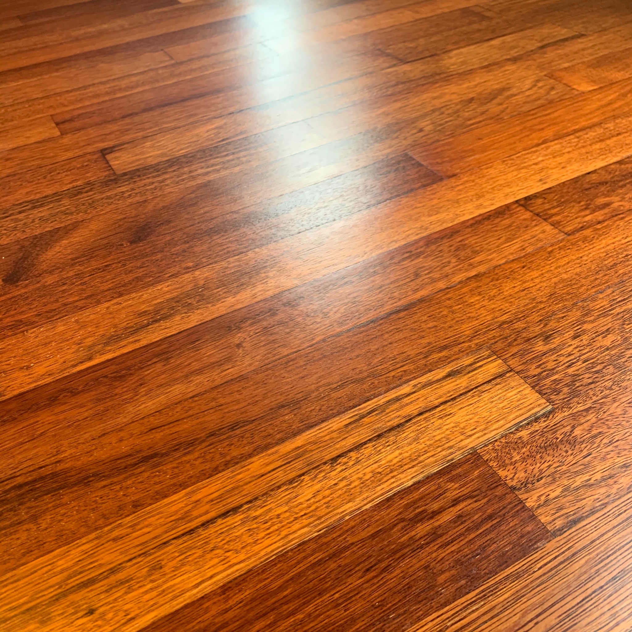 Błyszcząca, polakierowana podłoga z parkietu o ciepłym, brązowo-pomarańczowym odcieniu, z widocznym usłojeniem drewna i refleksami światła.