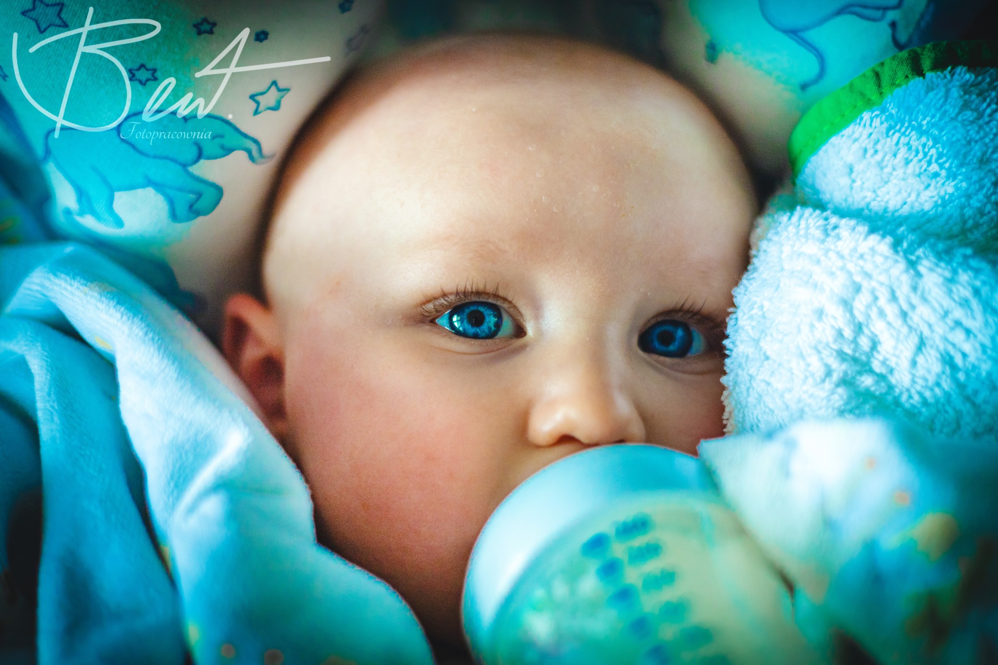 Niemowlę o intensywnie niebieskich oczach pije z butelki, otulone miękkim kocykiem z motywem słoni i gwiazdek, widoczne logo fotografa w lewym górnym rogu.
