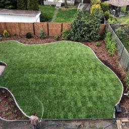 Zielona Fantazja - Widok z góry na świeżo założony trawnik o nieregularnym kształcie, obrzeżony jasnymi kamieniami i korą, podlewany przez mężczyznę w bluzie, z widocznymi elementami drewnianego ogrodzenia...