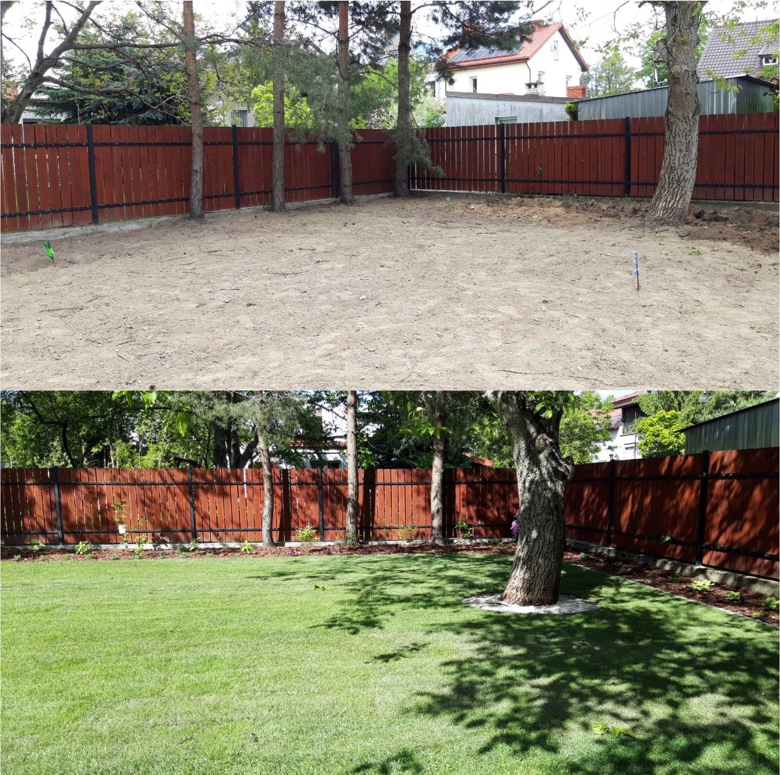 Porównanie stanu działki przed i po: z piaskowej powierzchni do zielonego trawnika z obsadzonymi rabatami i obrzeżem z kory, widoczne drzewa i drewniane ogrodzenie.