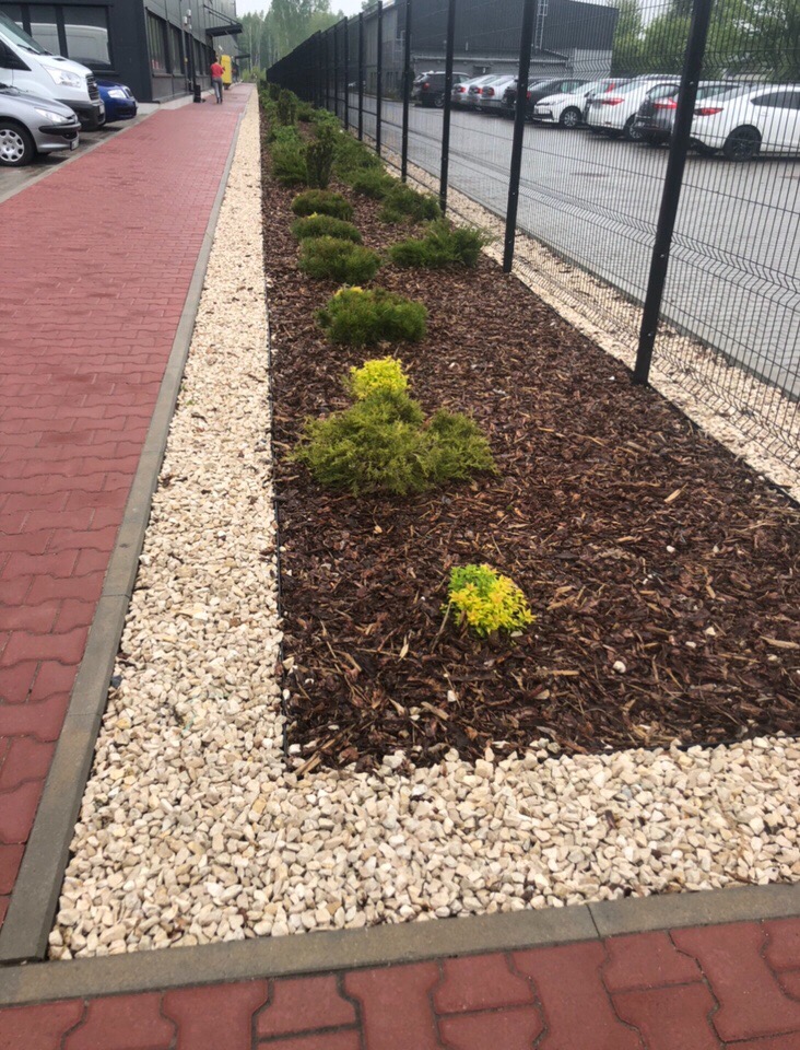 Krawężnik z czerwonej kostki brukowej, obok pas białych kamieni, rabata z korą i niskimi krzewami iglastymi wzdłuż metalowego ogrodzenia panelowego na tle parkingu z samochodami.