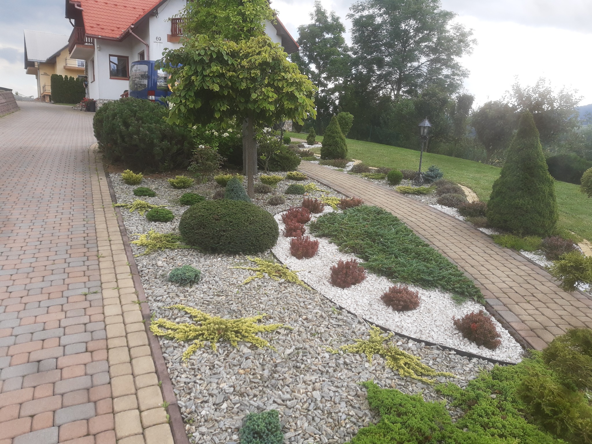 Ogród w Skawie z ozdobnymi krzewami i ścieżką z kostki brukowej, wysypany kamieniami i białym grysem, na tle domu z czerwonym dachem i zieleni.