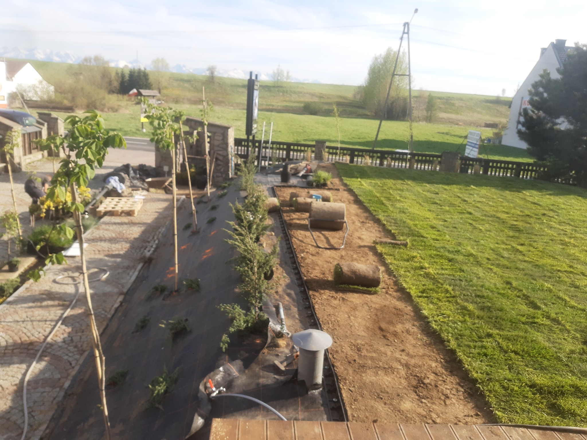 Fragment ogrodu w trakcie zakładania: sadzonki drzewek, rozkładana trawa z rolki, system nawadniania, czarna agrowłóknina, widok z góry na posesję z domami i polem w tle.