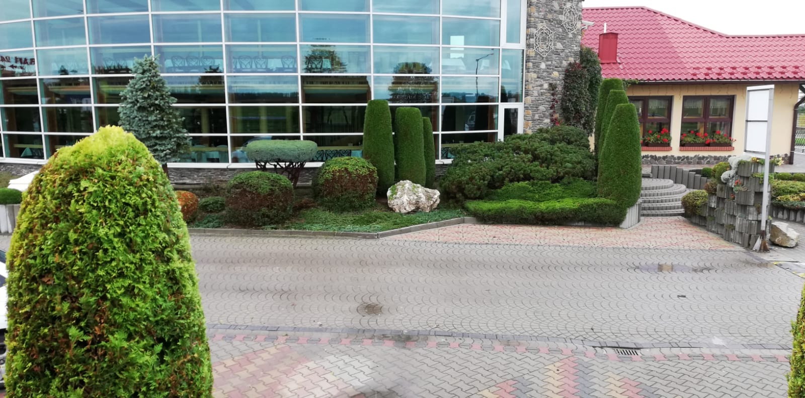 Profesjonalnie przycięte krzewy i drzewa iglaste w ogrodzie przed budynkiem z przeszkloną fasadą i czerwonym dachem.
