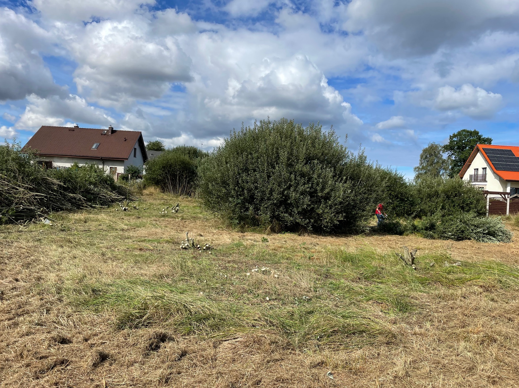 Przygotowany teren pod budowę z wykarczowanymi drzewami i krzewami, w tle domy jednorodzinne pod błękitnym niebem.