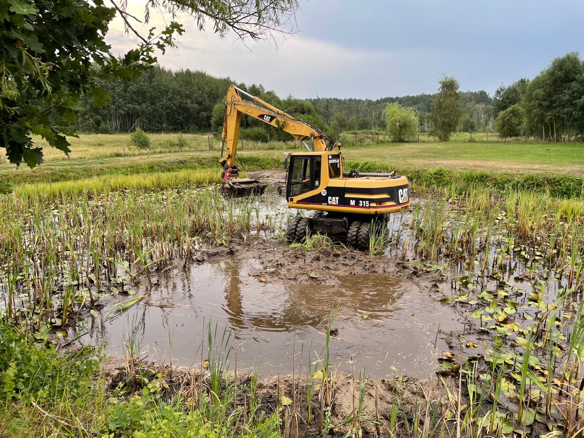 Żółta koparka Caterpillar M315 pracuje w błotnistym, zarośniętym stawie, z widocznymi roślinami wodnymi i drzewami w tle, podczas prac ziemnych.