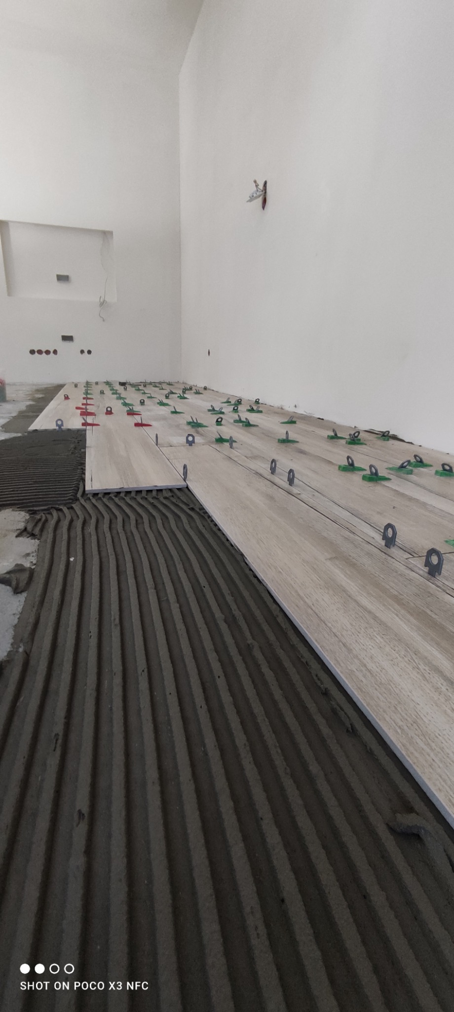 Proces układania podłogi z płytek imitujących drewno z użyciem poziomujących klipsów i klinów na warstwie świeżo nałożonego kleju z charakterystycznym wzorem grzebieniowym.