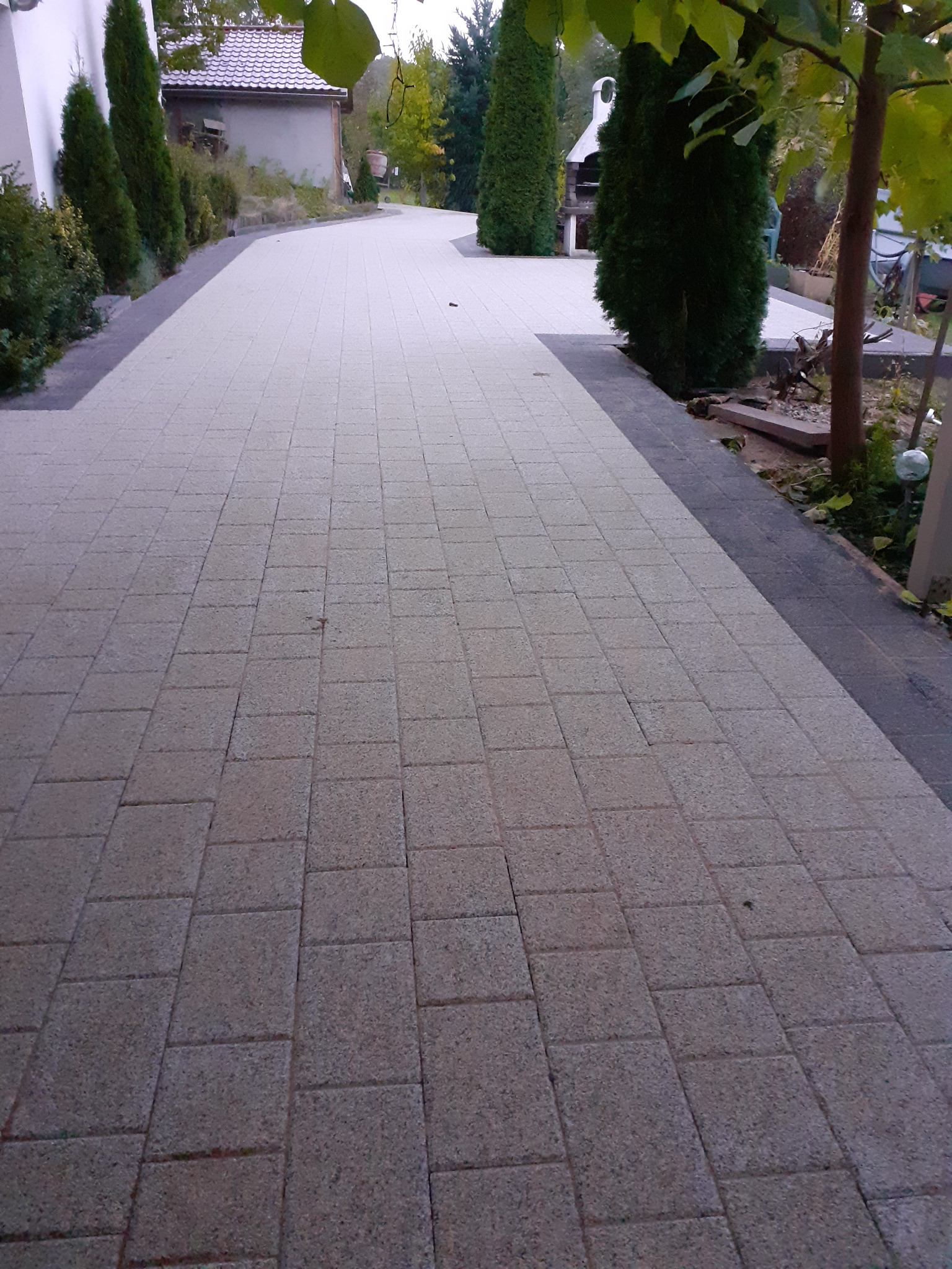 Szeroka, jasnoszara nawierzchnia z kostki brukowej prowadząca wzdłuż posesji z iglakami i budynkiem w tle, wykończona ciemniejszym obrzeżem.