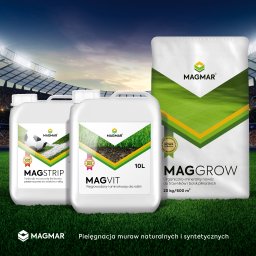 Boiska sportowe Czerniejewo 3