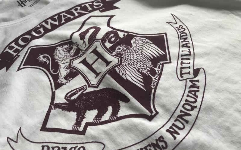 Jasna koszulka z dużym, ciemnobrązowym nadrukiem herbu Hogwartu, z widoczną fakturą materiału i delikatnymi zagnieceniami.