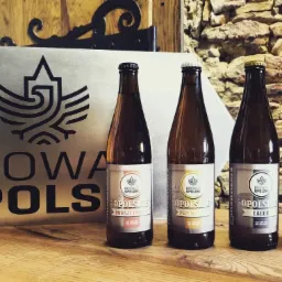 Cztery butelki piwa regionalnego Browar Opolski (Bursztynowe, Pszeniczne, Lager, Pils) na drewnianym blacie, w tle logo browaru i kamienna ściana.