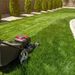 Czerwono-czarna kosiarka spalinowa na tle świeżo skoszonego trawnika z widocznymi pasami, obok ozdobne krzewy i kamyki.