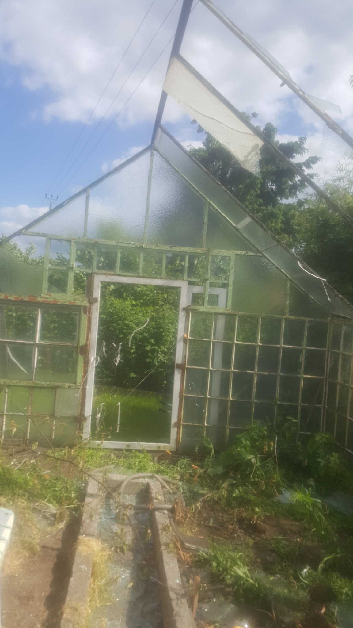 Zrujnowana szklarnia z powybijanymi szybami i zardzewiałą konstrukcją, otoczona zielenią, po częściowej rozbiórce.