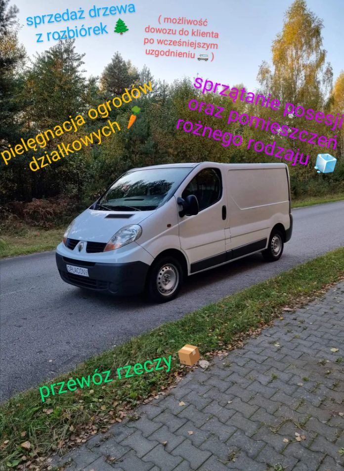 Biały bus Renault Trafic na poboczu drogi, z widocznym napisem 'OPŁACON' na tablicy rejestracyjnej, sugerujący transport różnych rzeczy, z lasem w tle.