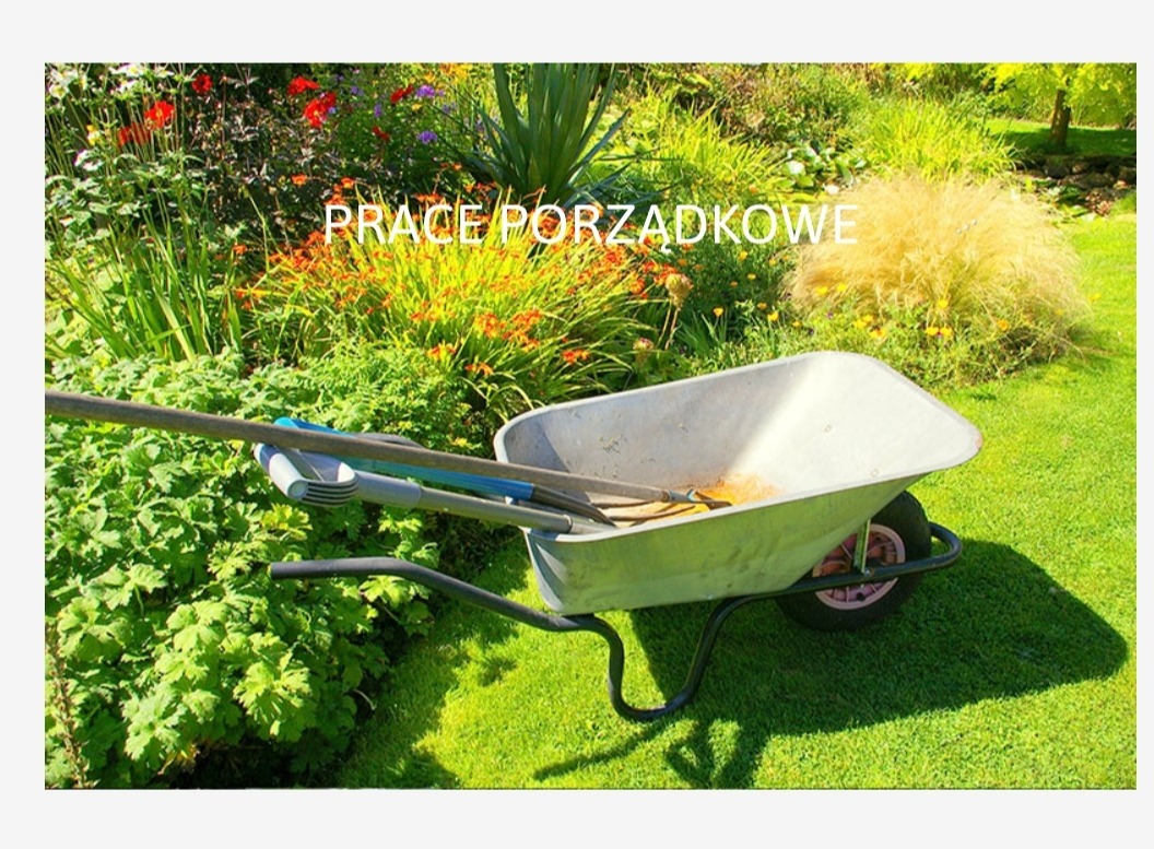 Taczka z narzędziami ogrodniczymi (grabie, łopata) na trawniku w Tarnowie Podgórnym, w tle kwitnące rabaty kwiatowe i ozdobne trawy.