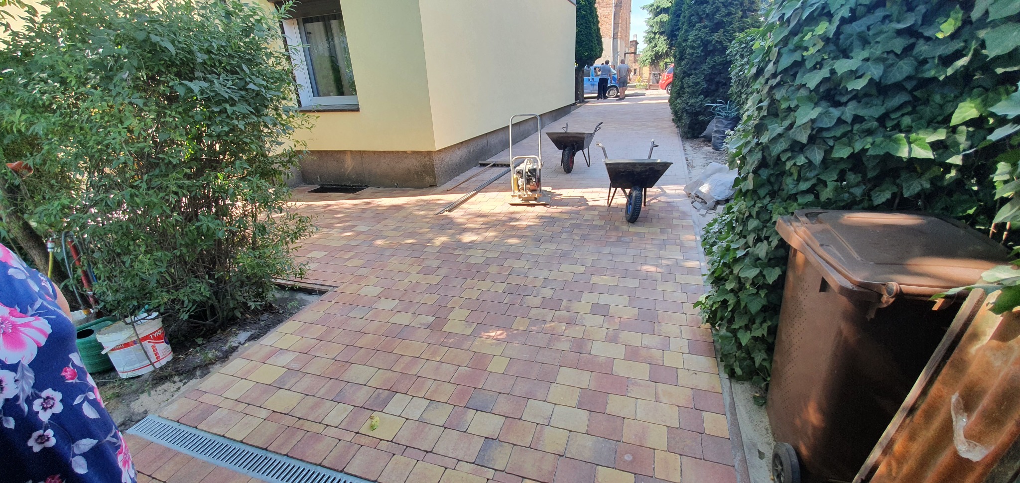 Nowo ułożona, kolorowa kostka brukowa na podjeździe, z widocznym odpływem liniowym, zagęszczarką i dwiema taczkami w tle, otoczona zielenią.