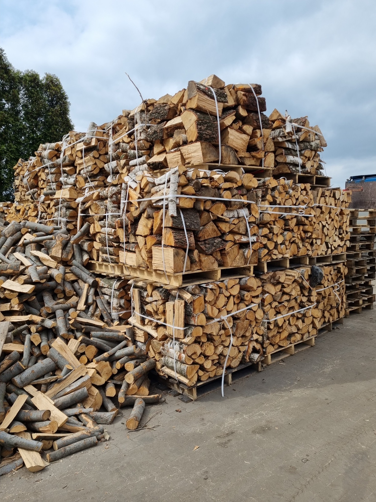 Stosy drewna kominkowego ułożone na paletach i zabezpieczone białym sznurkiem, obok stosu leżą pojedyncze kawałki drewna.