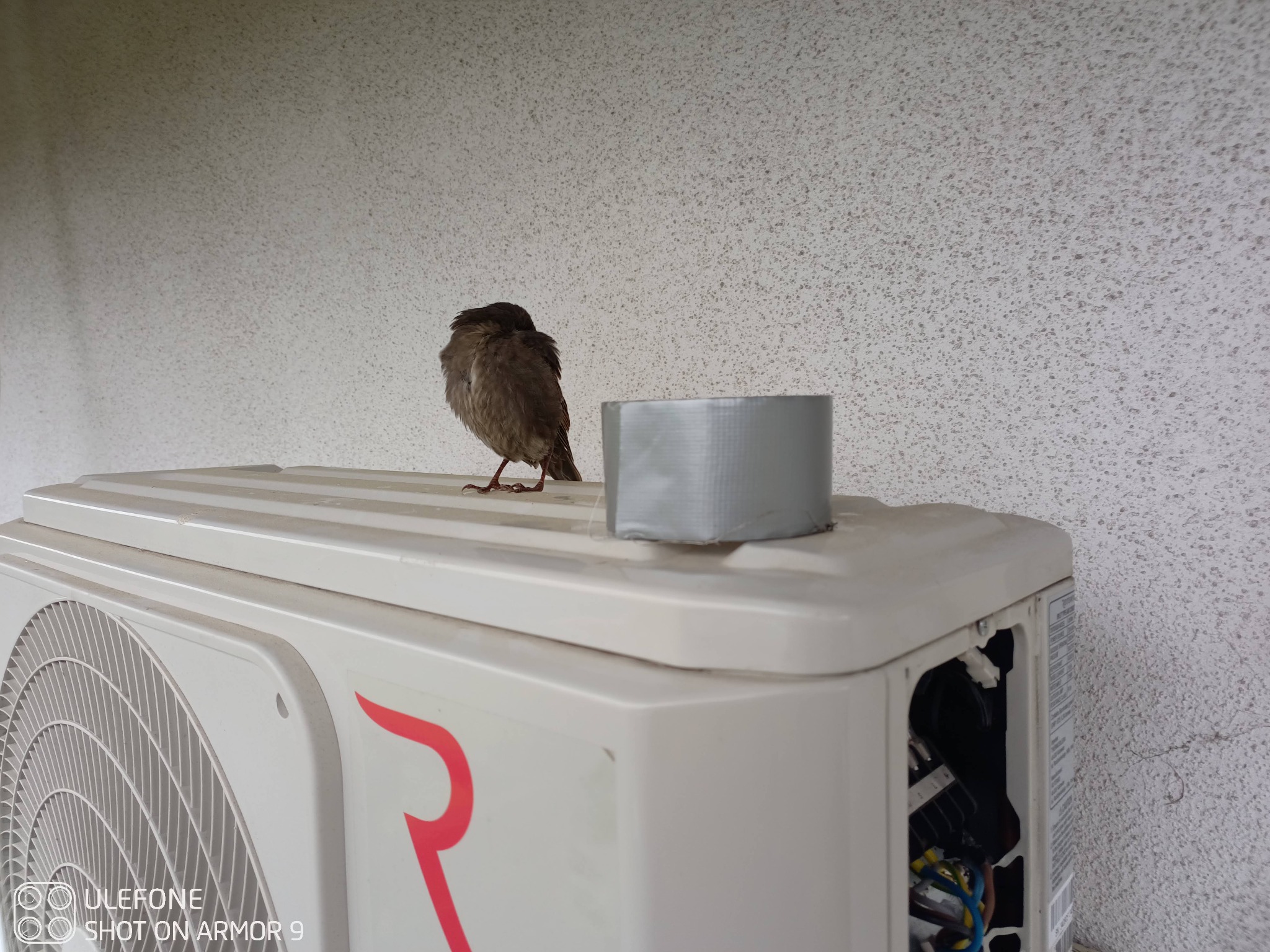 Mały brązowy wróbel siedzi na klimatyzatorze obok szarej taśmy naprawczej; widoczne otwarte wnętrze urządzenia z kablami.