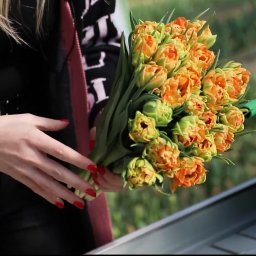 Dla Hurtowni Kwiatów Bogdan Królik realizowałem filmy promujące ich główny produkt - tulipany.  