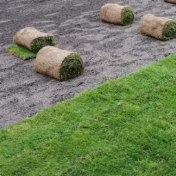 Rozwinięta i nierozwinięte rolki trawy na przygotowanym podłożu, widok z góry.