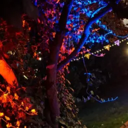 Drzewo oświetlone na czerwono i niebiesko, girlanda z flagami i fragment namiotu w tle, oświetlenie eventowe nocą.