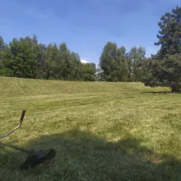 Szeroki kadr na świeżo skoszoną trawę na wzgórzu, z kosiarką spalinową leżącą z lewej strony, w tle drzewa i błękitne niebo.