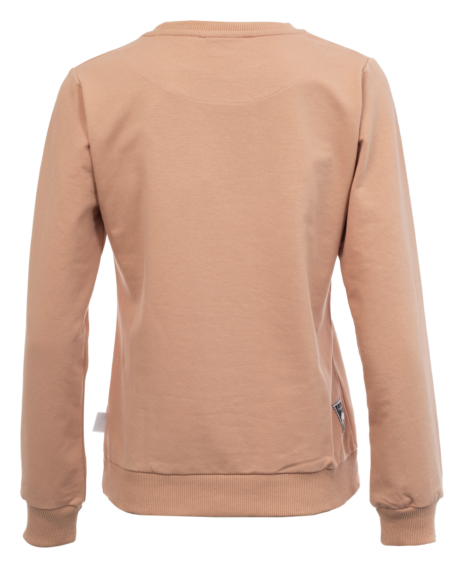 Beżowa bluza dresowa z długim rękawem, widok z tyłu, z delikatnym ściągaczem u dołu i przy mankietach, z małą metką z boku.