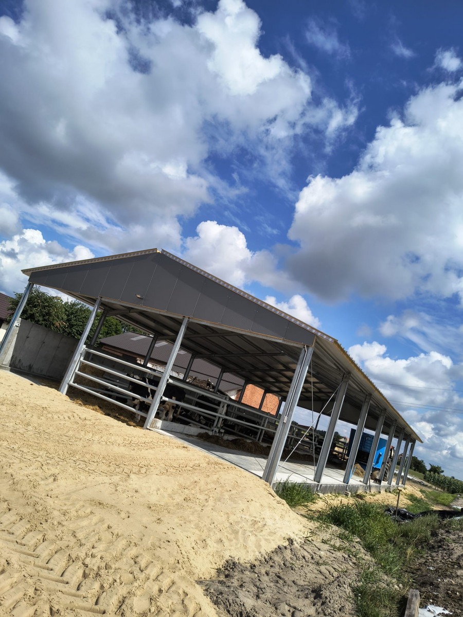 Stalowa konstrukcja zadaszenia dla bydła na piaszczystym podłożu, widok z zewnątrz, błękitne niebo z chmurami w tle, częściowo widoczne krowy wewnątrz.