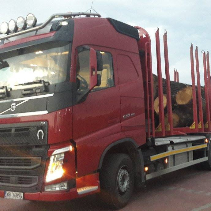 Czerwona ciężarówka Volvo FH 540 z drewnem okrągłym na platformie, widok z boku, tablica rejestracyjna WR 3689V.