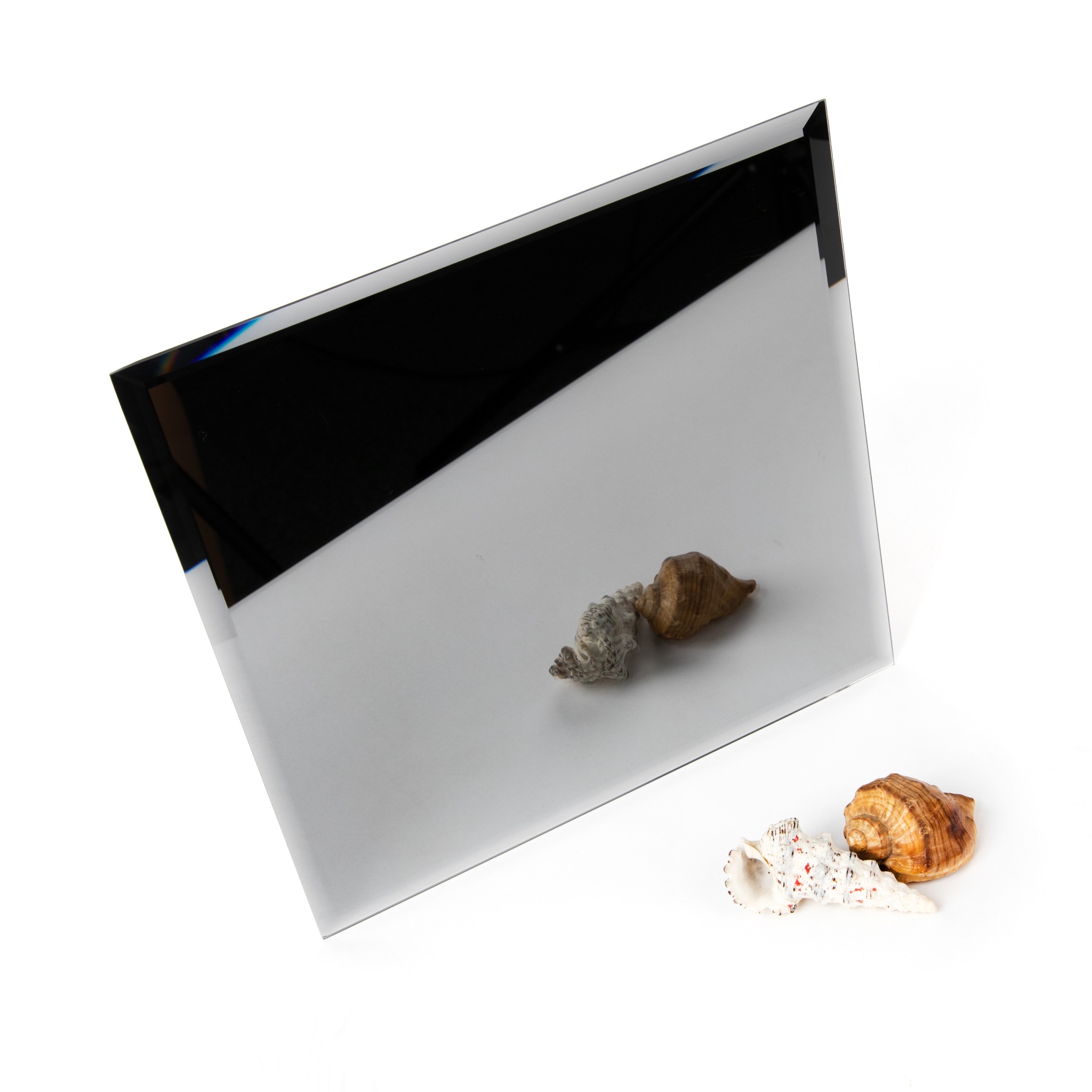 Kwadratowa tafla szkła z czarnym refleksem, na której leżą dwie muszle, a pod nią kolejne dwie muszle na białym tle.