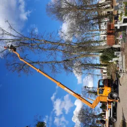 Pracownik w pomarańczowym kombinezonie w koszu podnośnika Ruthmann 25M przycina gałęzie drzewa na cmentarzu, błękitne niebo z chmurami w tle.