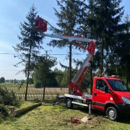 DIZ POL Podnośnik koszowy, Wycinka drzew, Mycie ciśnieniowe - Dobre Prace Na Wysokościach Siedlce