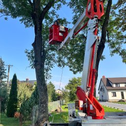 DIZ POL Podnośnik koszowy, Wycinka drzew, Mycie ciśnieniowe - Pracownik w czerwonym koszu podnośnika teleskopowego, na tle zieleni drzew i błękitnego nieba, wykonuje prace przy drzewie w ogrodzie.
