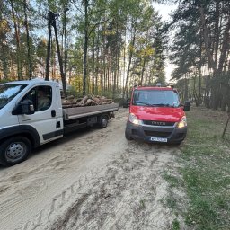 DIZ POL Podnośnik koszowy, Wycinka drzew, Mycie ciśnieniowe - Dwa samochody dostawcze na leśnej drodze, jeden z drewnem, sugerujące wycinkę lub transport drewna. Widoczne drzewa w tle.